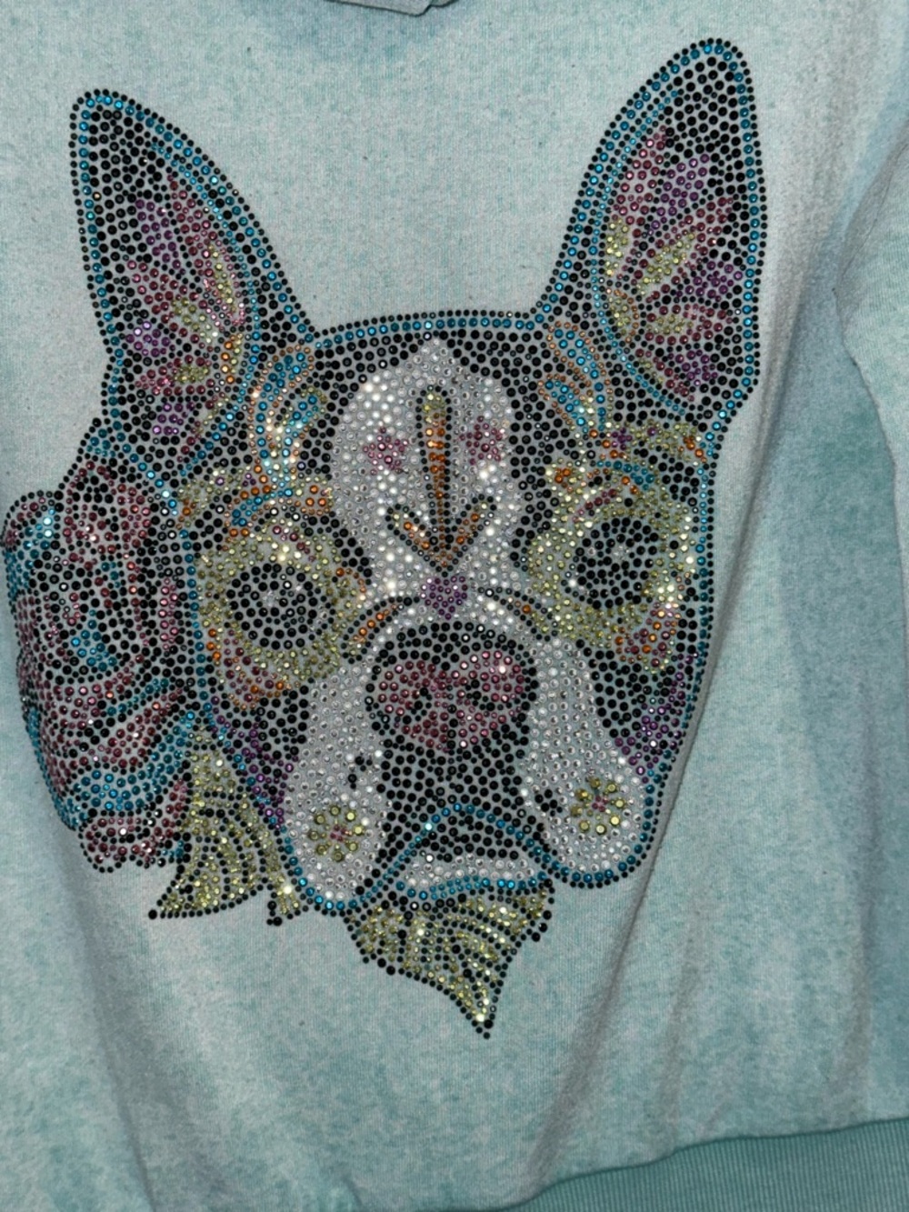 Butter Super Soft Rhinestone French Bulldog Zip Hoodie XL Aqua Dog Graphic - Picture 6 of 8